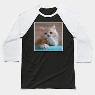 What Happened cat Baseball T-Shirt